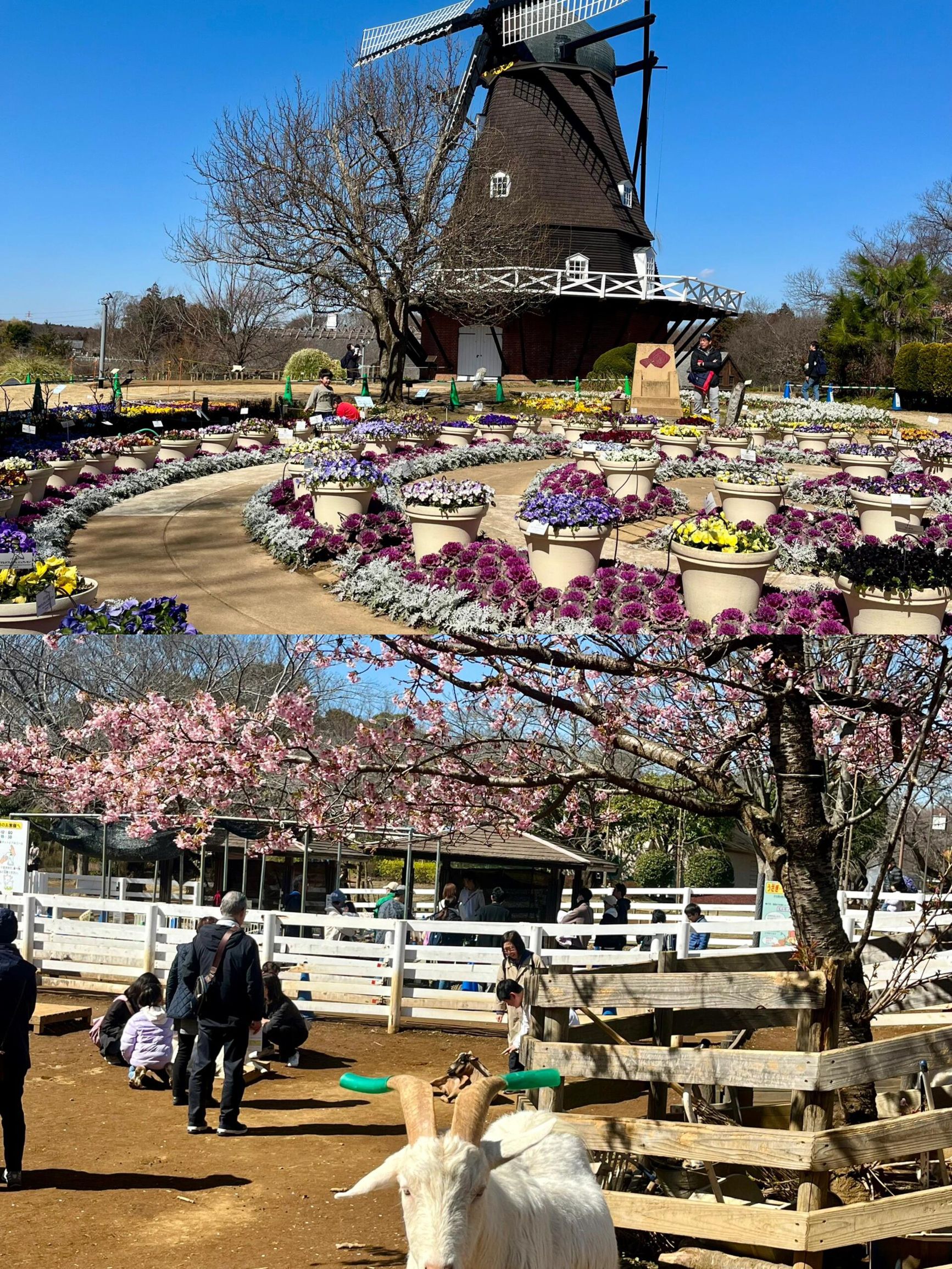 🌳 후나바시항 친수공원 (船橋港親水公園) 이미지 11